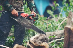 Land Clearing Near in Fort Pierce