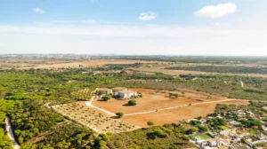 Land development in Vero Beach