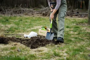 Landscape grading in Stuart