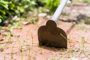 landscape grading port saint lucie